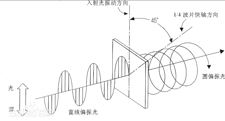 圓偏振和線(xiàn)偏振的區別