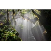 光的干涉、衍射、折射、反射、散射
