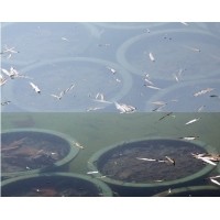 偏振鏡光學(xué)原理和在機器視覺(jué)中的應用